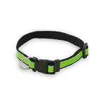 Collier Muttley BLEU