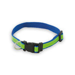 Collier Muttley BLEU