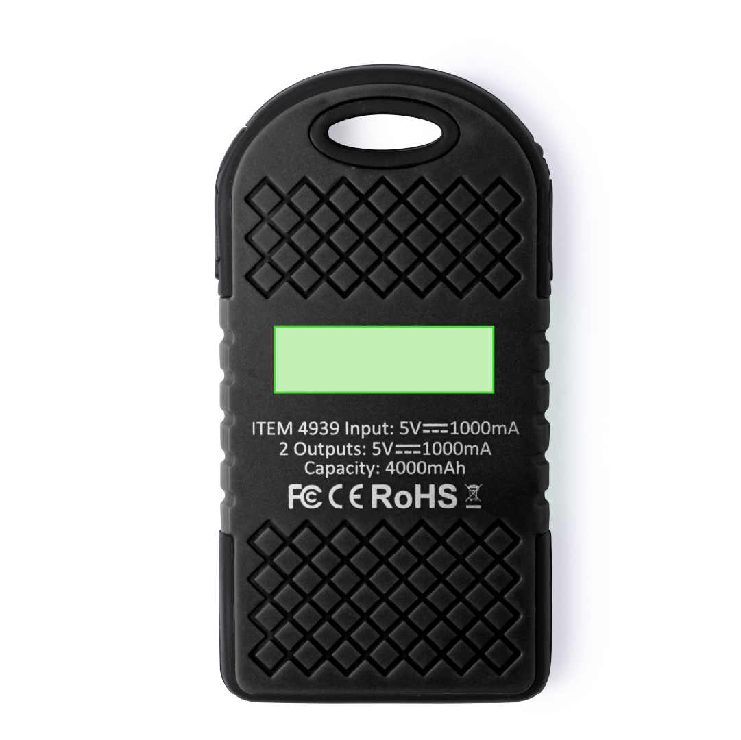 Power Bank Lenard