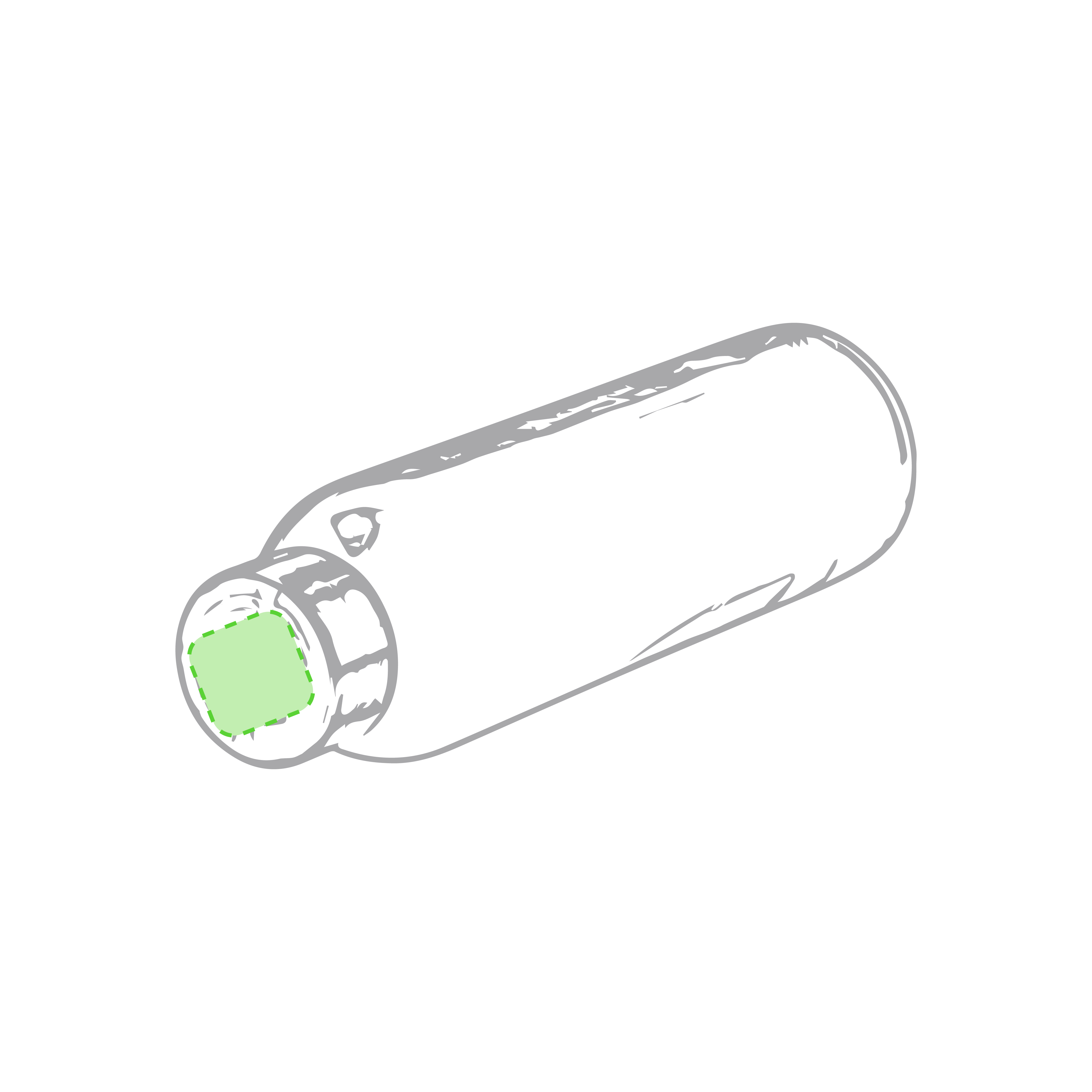 Bottle Terkol