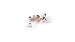 Pendientes Drems SC