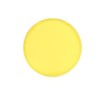 Frisbee Watson AMARILLO