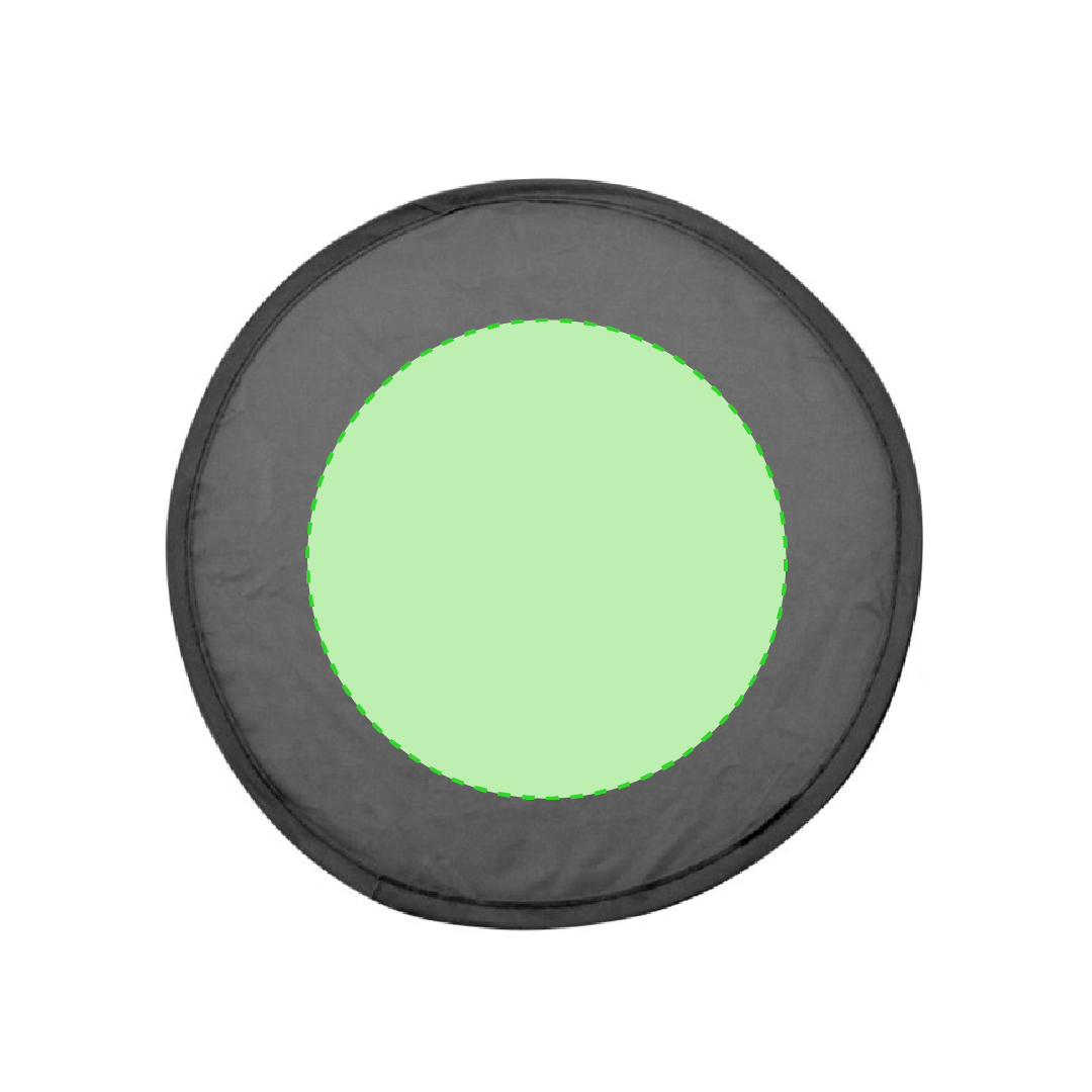 Frisbee Watson