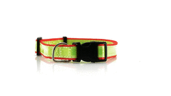 Collier Muttley BLEU