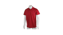 Polo Tecnic