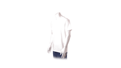 Volwassene Wit T-Shirt "keya" MC180 WIT